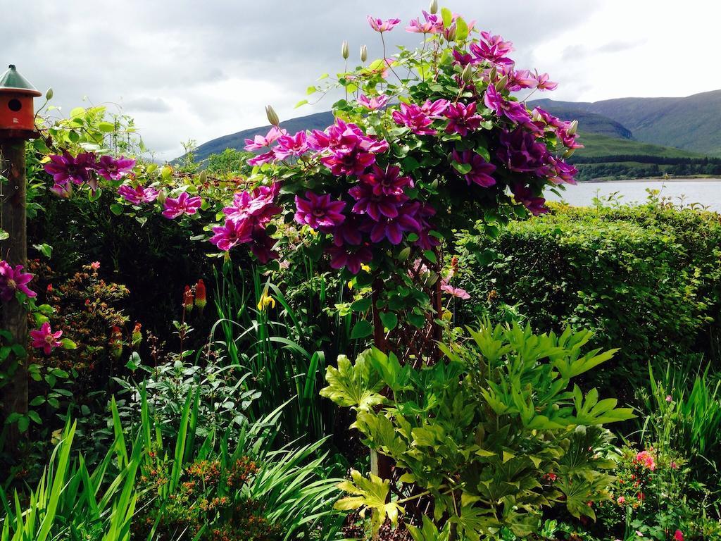 Hillview Guest House Fort William Exterior foto